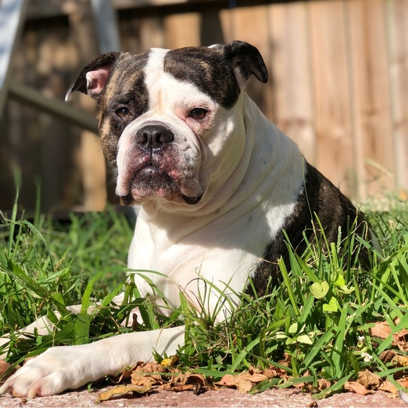 My greatest Blessing is my Family - Picture 9 of 13